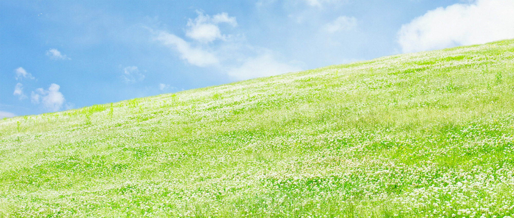 安芸郡海田町稲荷町、海田市駅、呼吸器内科、消化器内科